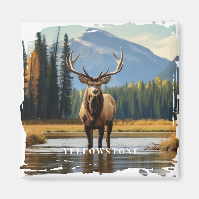 Yellowstone Elk Magnet (Framsidan)