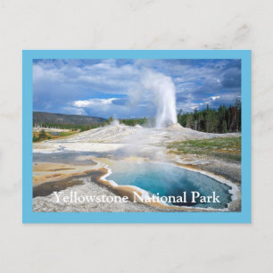 Yellowstone Geyser-vykort Vykort