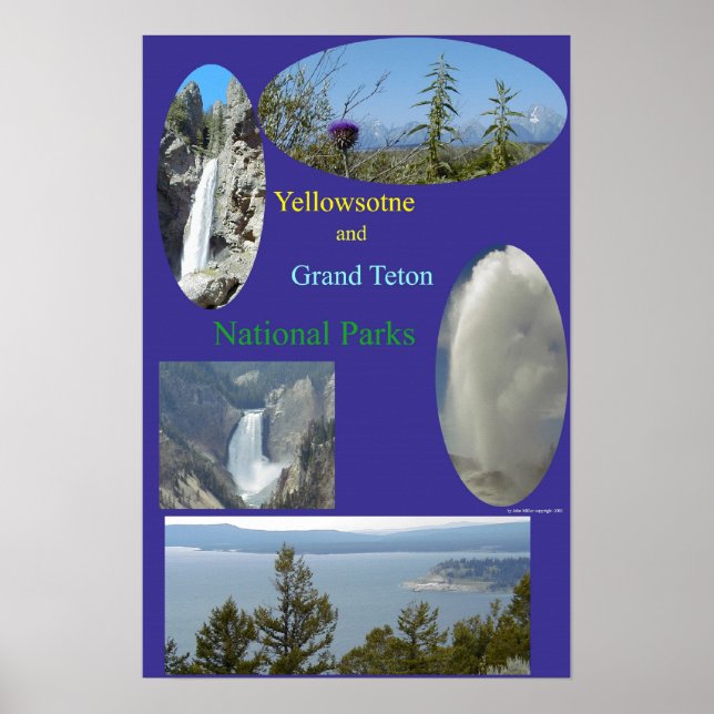 Yellowstone & Grand Teton Poster (Framsidan)
