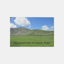 Yellowstone Grönt Meadow Photo National Park