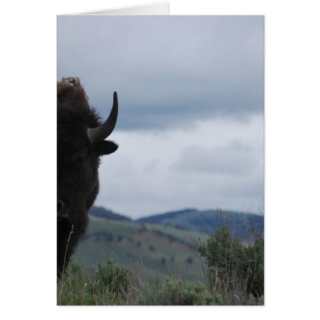 Yellowstone Guardian Hälsningskort (Framsidan)