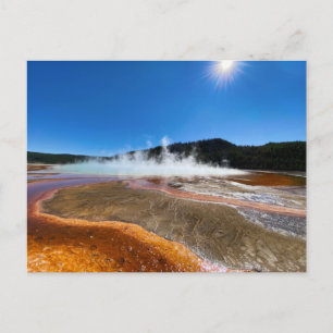 Yellowstone Hett Vår vykort