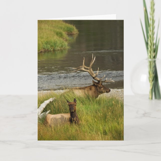 Yellowstone-kort Kort (Framsida)