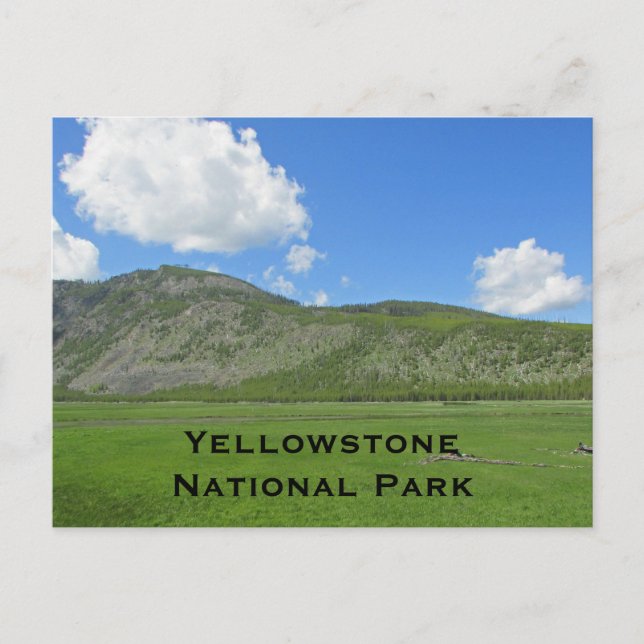 Yellowstone Landcape Photo Mountain National Park Vykort (Framsida)