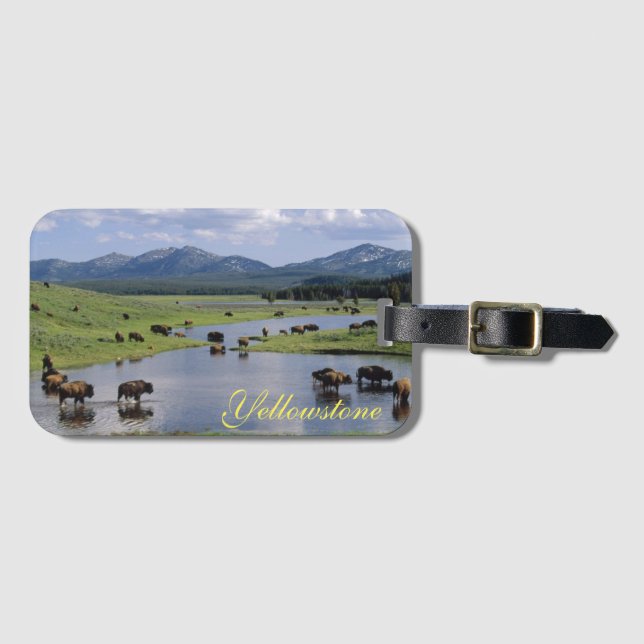 Yellowstone Luggage Tag-Buffalo Bagagebricka (Framsida horisontal)