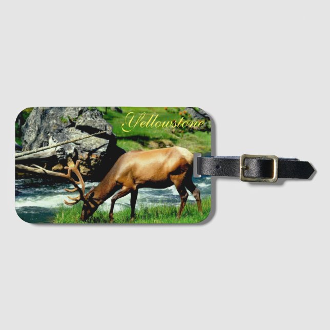 Yellowstone Luggage Tag-Elk Bagagebricka (Framsida horisontal)