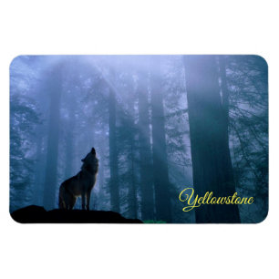 Yellowstone Magnet
