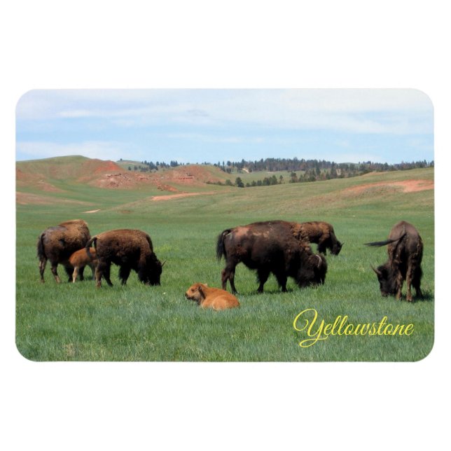 Yellowstone Magnet (Horisontell)