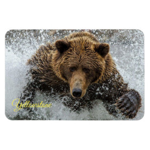 Yellowstone Magnet-Björn Magnet