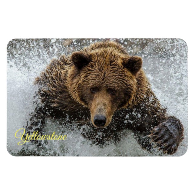 Yellowstone Magnet-Björn Magnet (Horisontell)