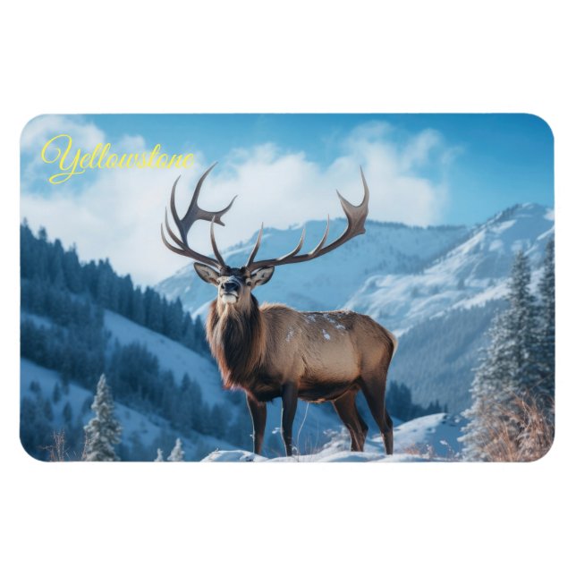 Yellowstone Magnet-Elk Magnet (Horisontell)