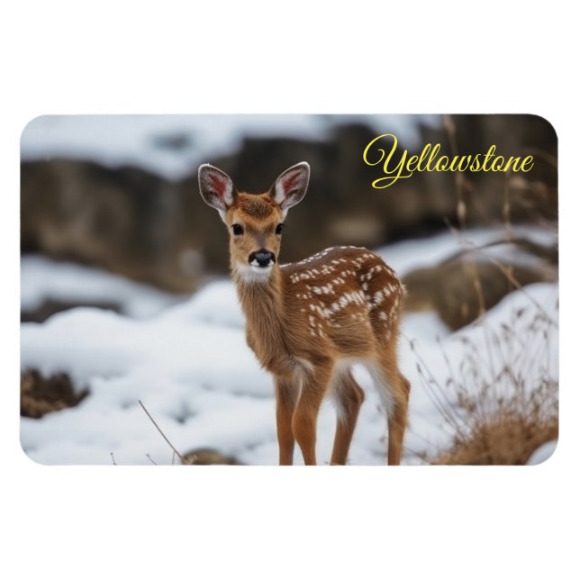 Yellowstone Magnet-Fawn Hjort Magnet (Horisontell)