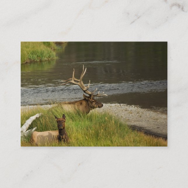 Yellowstone Mates Mini Print Visitkort (Framsida)