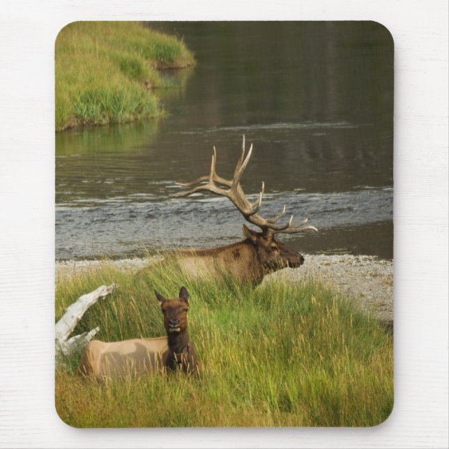 Yellowstone Mates Mousepad Musmatta (Framsidan)