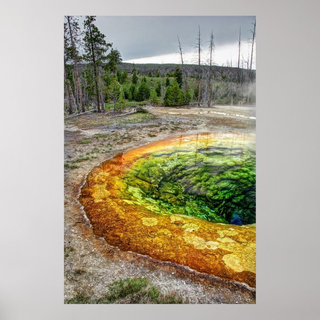 YELLOWSTONE MORNING GLORY BASSÄNG POSTER (Framsidan)