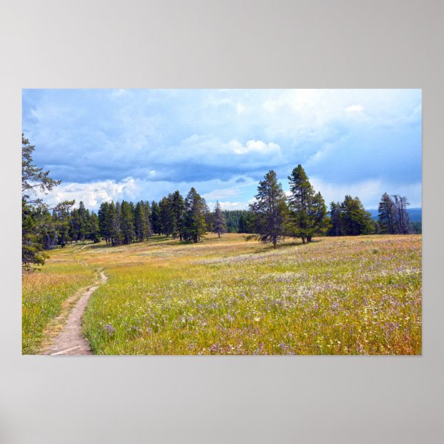 Yellowstone National Park ängstig Poster (Framsidan)