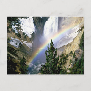 Yellowstone National Park Anpassade Gifts Vykort