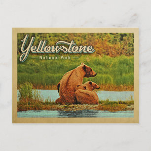 Yellowstone National Park Bears Vintage Vykort