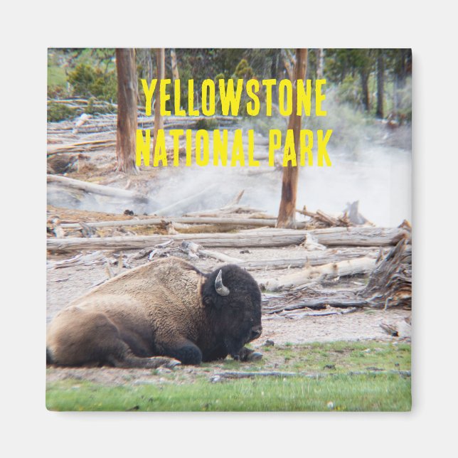 Yellowstone National Park Bison Magnet (Framsidan)