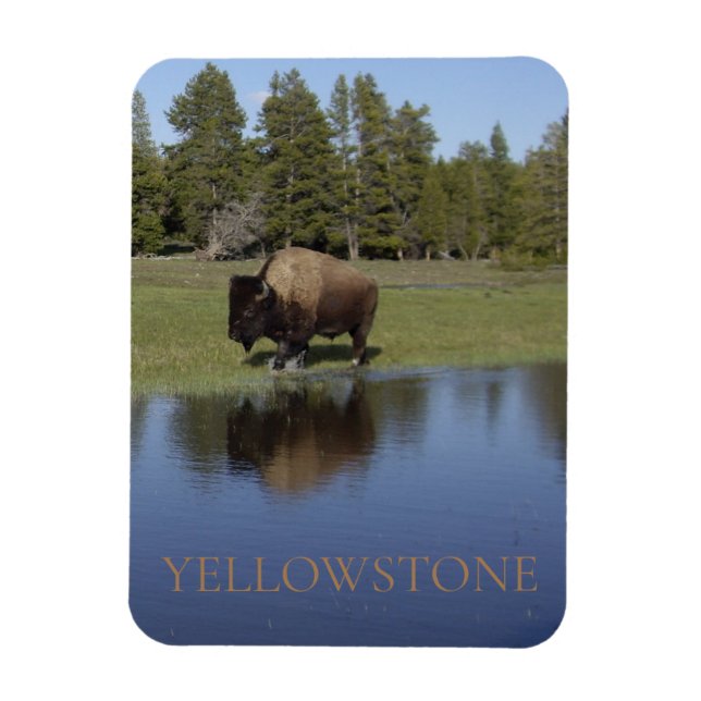 Yellowstone National Park Bison Magnet (Vertikal)