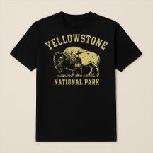 Yellowstone National Park Bison