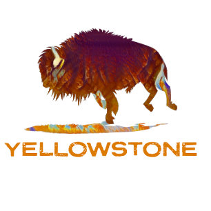 Yellowstone National Park Bison T Shirt