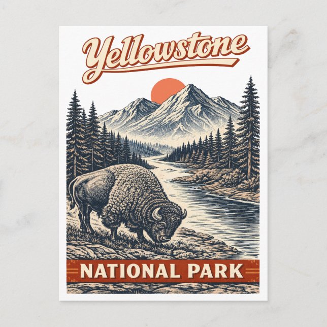 Yellowstone National Park - Bison Vykort (Framsida)
