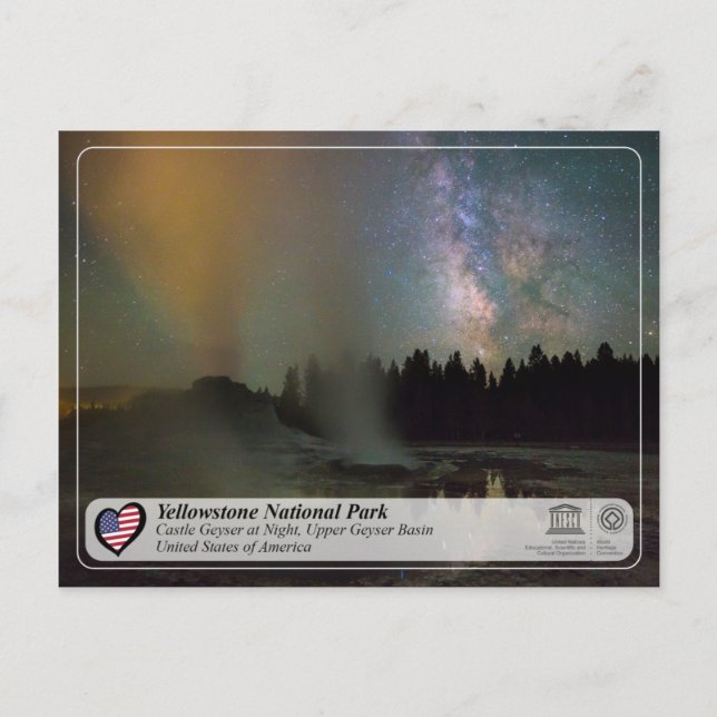 Yellowstone National Park - Castle Geyser Vykort (Framsida)