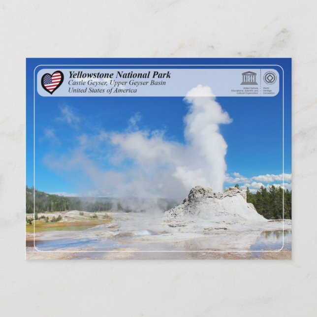 Yellowstone National Park - Castle Geyser Vykort (Framsida)