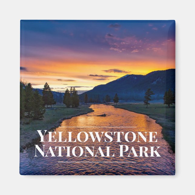 Yellowstone National Park Fridge Magnet (Framsidan)
