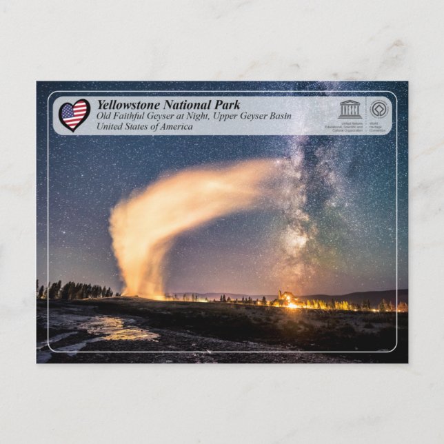 Yellowstone National Park - Gamle Faithful Geyser Vykort (Framsida)