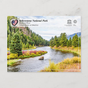 Yellowstone National Park - Madisonfloden Vykort