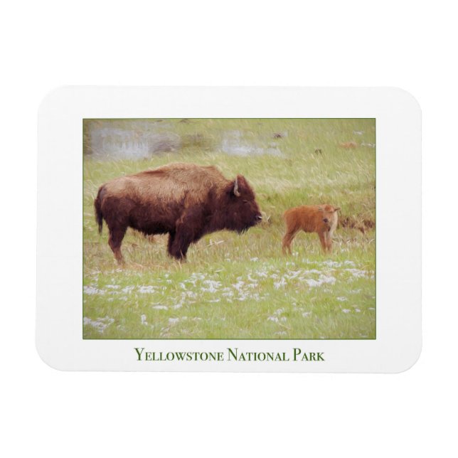 Yellowstone National Park-magnet med bison och kal Magnet (Horisontell)