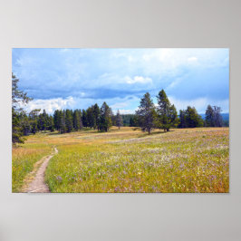 Yellowstone National Park Meadow Trail Poster