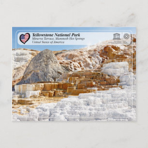 Yellowstone National Park - Minerva Terrace Vykort