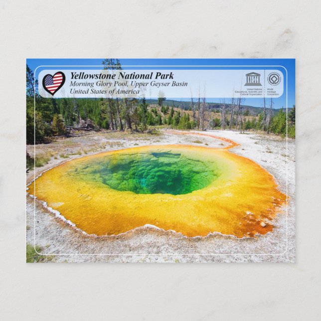 Yellowstone National Park - Morning Glory Pool Vykort (Framsida)