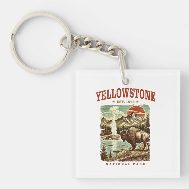 Yellowstone National Park - Mountain och Bison (Framsidan)