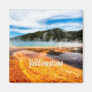 Yellowstone National Park Mountains Nature Animals Magnet