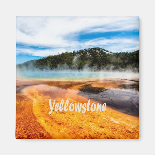 Yellowstone National Park Mountains Nature Animals Magnet (Framsidan)
