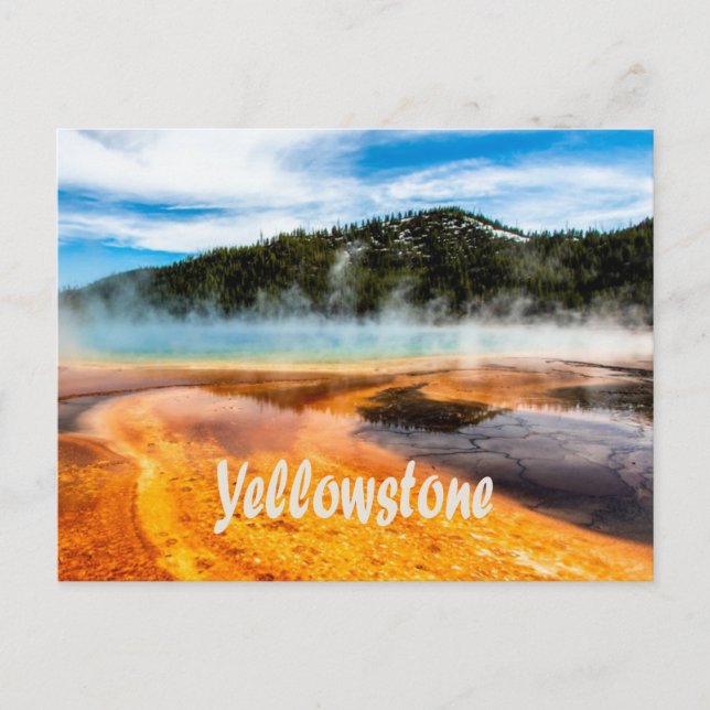 Yellowstone National Park Mountains Nature Animals Vykort (Framsida)