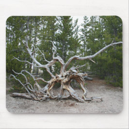 Yellowstone National Park Mouse Pad Musmatta