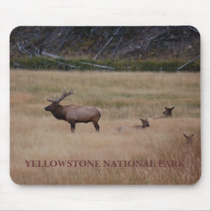 YELLOWSTONE NATIONAL PARK MUSMATTA