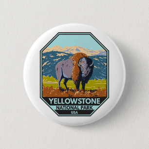 Yellowstone National Park North American Bison Knapp