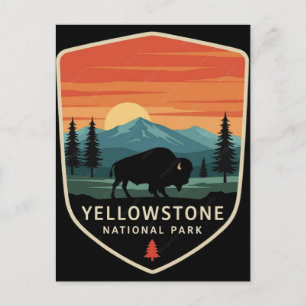 Yellowstone National Park Rör Inte De Fluffiga Kor Vykort