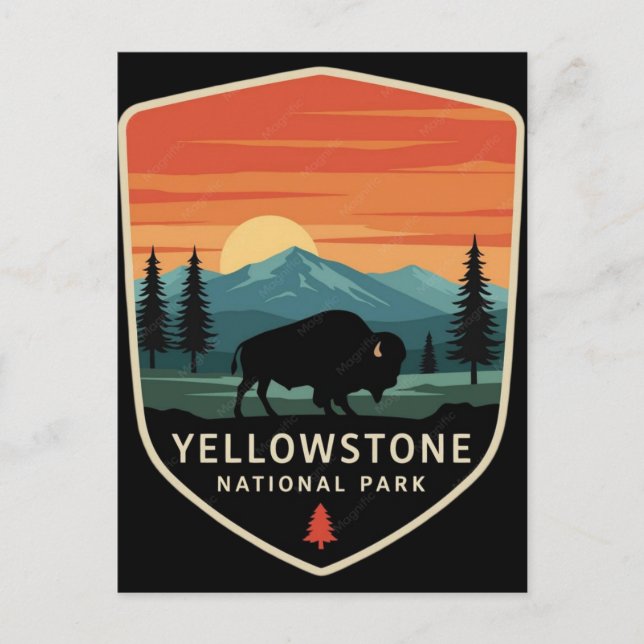 Yellowstone National Park Rör Inte De Fluffiga Kor Vykort (Framsida)