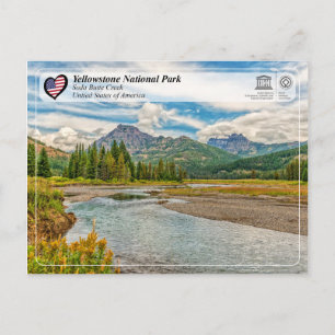 Yellowstone National Park - Soda Butte Bäck Vykort