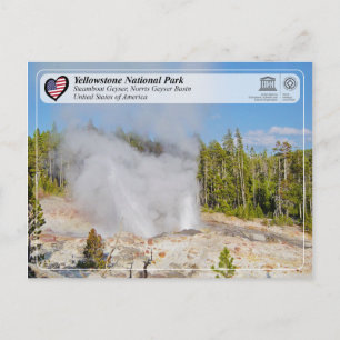 Yellowstone National Park - Steamboat Geyser Vykort