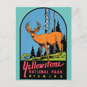 Yellowstone National Park Vintage Resa Postkort Vykort