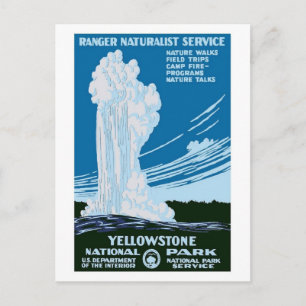 Yellowstone National Park Vintage Vykort