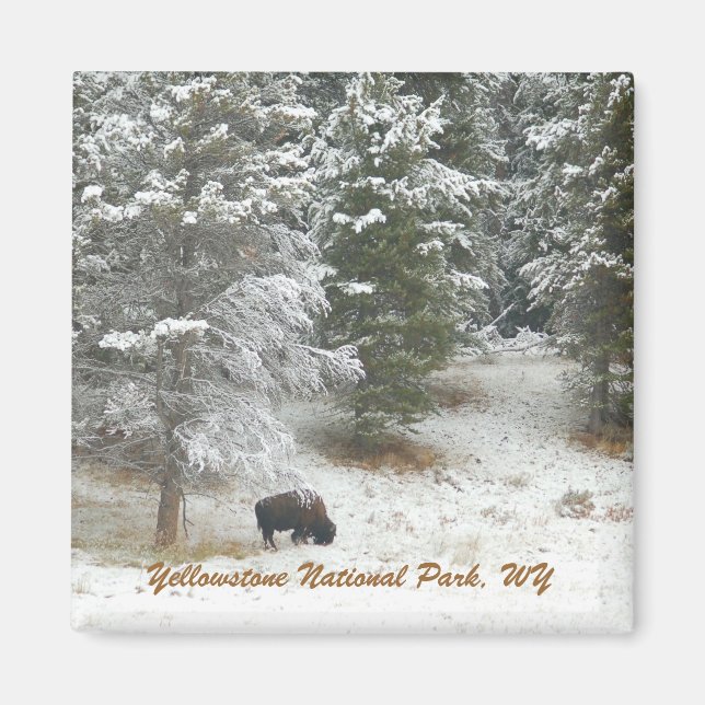 Yellowstone National Park, WY Magnet (Framsidan)